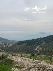  9 فرصة استثمارية! أرض زراعية مميزة بسعر مغري و بالقرب من أحراش الدولة للمزيد من المعلومات اقرأ الوصف