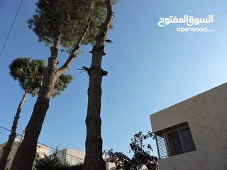  14 فيلا مستقلة للبيع خلدا العواجانيه على مساحة أرض دونم