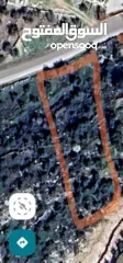  2 قطعتان ارض للبيع في صوريف الخليل بناء او زراعة