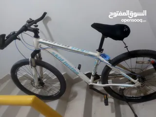  6 Bicycle used