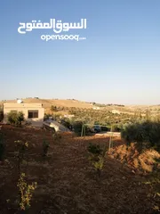  1 مزرعه للبيع من الملك مباشره
