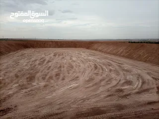  21 بلدوزر D8L +لودر 470 +حفارة 450 +حفارة 300 للإيجار