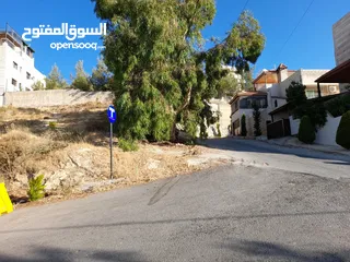  14 قطعة أرض مميزة للبيع  -ضاحية الحمر الراقية -عمان الغربية