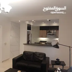  13 شقه دوبلكس  مفروشه للايجار ـ دير غبار  ـ 280م