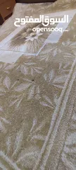  5 سجاد مع قيزر