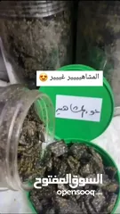  6 عود و دخون و عطور