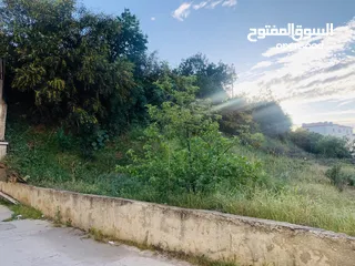  3 ارض سكني للبيع خلدا سكن ب خاص باحكام خاصه مطله على دابوق