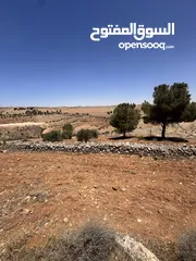  4 للبيع قطعة ارض منطقة نادرة / شرق جرش موقع مميز جدا وبسعر مغري