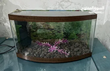  2 حوض سمك للبيع