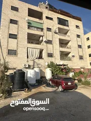 7 شقه البيع عظم