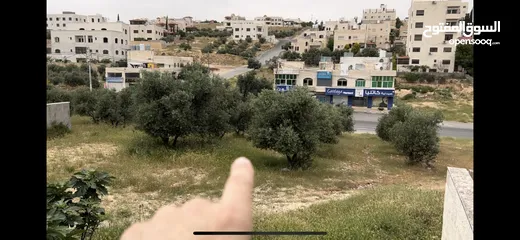 1 ارض مميزة في موقع مميز في شارع مكتمل البناء وكله فلل بدون إسكانات. تقع بين فيلتين مستطيلة تنظيم د.