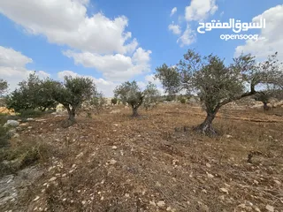  6 قطعة ارض للبيع مساحة 878 متر من ارض بيت قاد من المالك مباشرة.. الارض مطلة وكاشفة