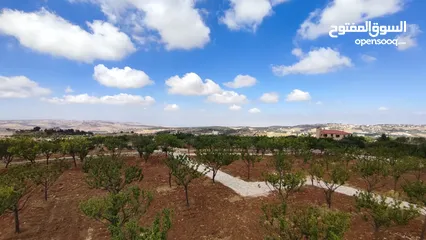  5 أرض للبيع في ناعور / منطقة العال و الروضة/ قرب قاعات بانوراما بلو