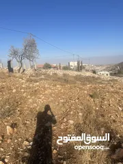  5 ارض للبيع في واد رحال