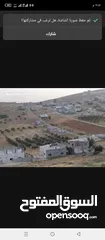  5 ارض للبيع بلعما المفرق