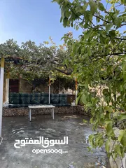  3 بيت مستقل في الباذان للبيع