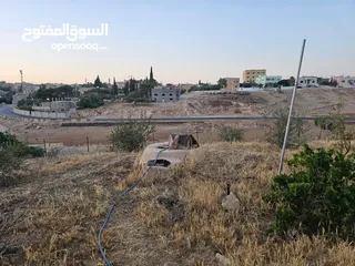  5 منزل مستقل لبيع في ذيبان