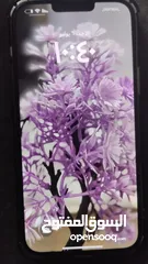  1 iPhone 13 Pro Max