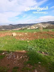  1 ارض للبيع 3500 متر واصل الخدمات اطلاله رائعة  منبسطة