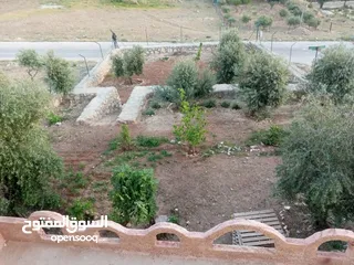  4 بيت طابقين للبيع في منطقة النبي هود