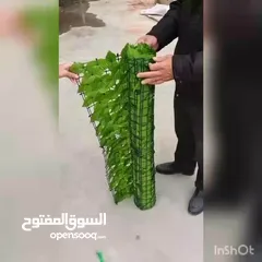  6 شبك ورق الشجر الاخضر الأصلي أجعل من بيتك حديقه خضراااء مع رول شبك الجدران و الحدائق و الأسوار