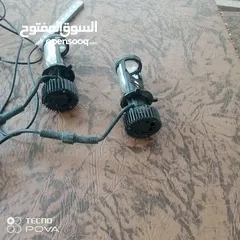  1 اضويه اماميه