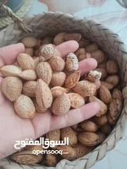  2 اللوز الحام ايراني