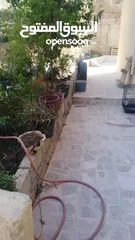  13 بيت مستقل للبيع