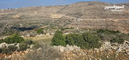  1 قطعة ارض للبيع في بلدة عطارة