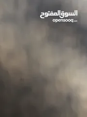 5 سامسونغ نوت 8