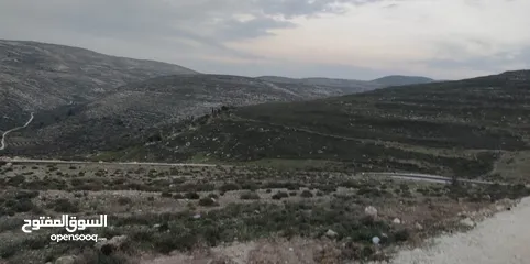  3 نمرة ارض في بيت امرين