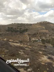  6 دورا جبل ابو عشرة