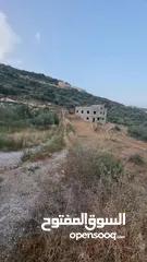  3 فرصة ارض للبيع بسعر مغري في طولكرم