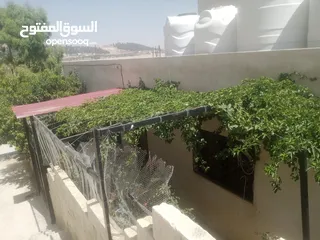  24 منزل مستقل جرش اسكان عجرمه  3غرف نوم 2حمام  صاله مع مطبخ امريكي  بلكونه  حديقه مساحه الارض 305