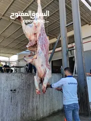  1 لحام اضاحي