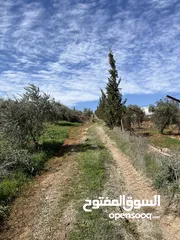  11 ارض مميزة تصلح لمزرعة او شاليه مقابل مطعم بيت شاكر والاسطبلات الملكية