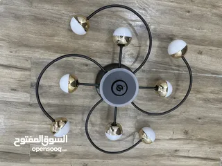  1 Ceiling Fan