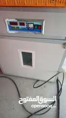  1 فقاسه اتوماتيك