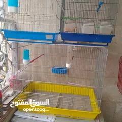  1 قفاص بحال الوكاله لتواصل الزرقاء