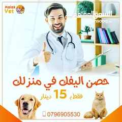  13 خدمات بيطرية متكاملة للحيوانات الاليفة