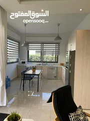  7 شقة مفروشة للإيجار في عبدون ( Property 38972 )-175055220