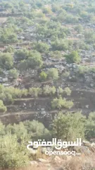  6 ارض على طريق بلعا دير الغصون قبل مفرق اكتابا