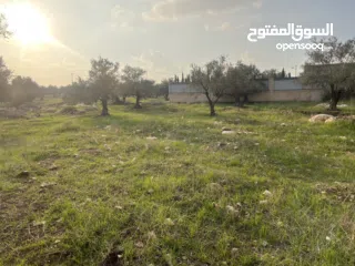  1 ارض مميزة للبيع