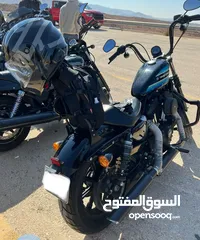  2 Harley Davidson Iron XL1200