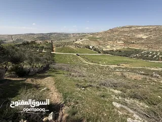  15 ارض للبيع قرمية حسبان 3100 متر لكامل القطعة قابل للأقساط