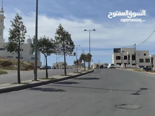  1 ارض مميزة للبيع الدمينة على شارع الثلاثين (شارع نالتشك ) مساحة 1027 متر تنظيم سكن أ خاص