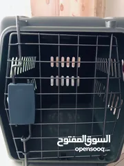  2 بوكس قطط بحالة ممتازة جدا
