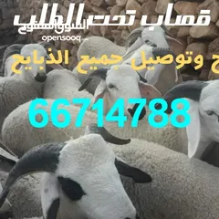  3 قصاب تحت الطلب الكويت