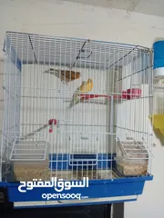  4 كنار للبيع