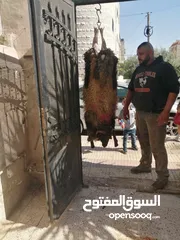  3 لحام جزار متنقل